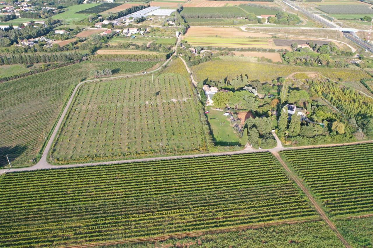 Domaine De La Trinite Montpellier - Aeroport - Plages - Arena - Zenith Saint-Aunes Екстериор снимка