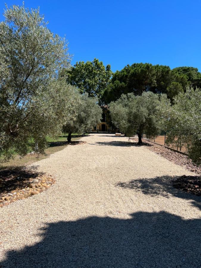 Domaine De La Trinite Montpellier - Aeroport - Plages - Arena - Zenith Saint-Aunes Екстериор снимка